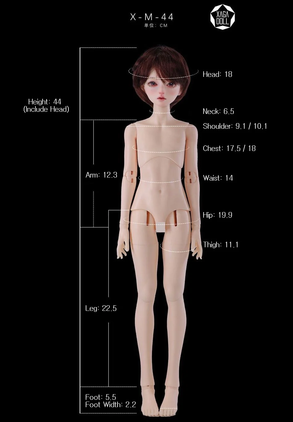 1/4 44cm Boy Body (X-M-44) | Preorder | PARTS - Image 14