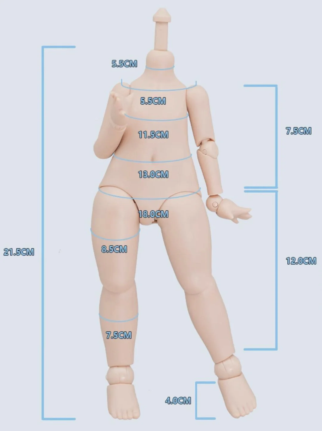1/6 Body (Winter Melon Body Ver.2) Chocolate Skin [Limited quantity] | PREORDER | PARTS - Image 9