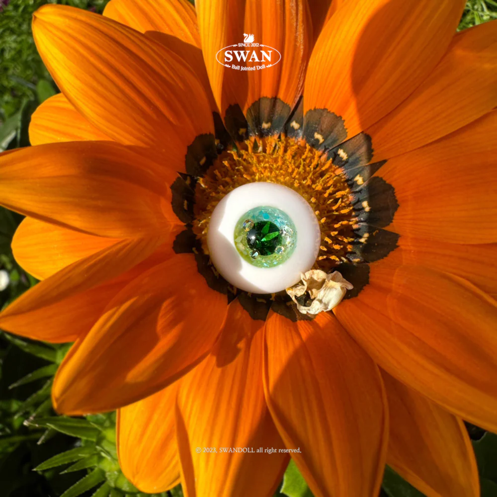 14mm [P0000BKK] [Basic] | Preorder | EYES - Image 6