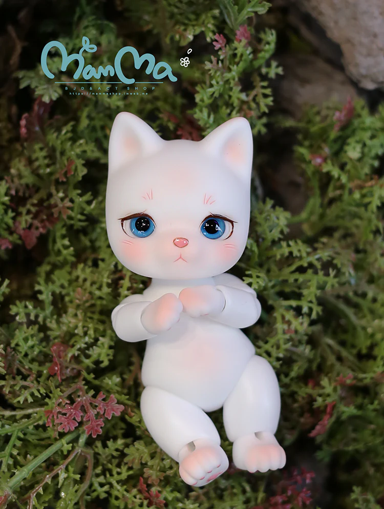 Basic Tomy | Preorder | DOLL - Image 2