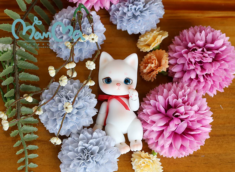 Basic Tomy | Preorder | DOLL - Image 6