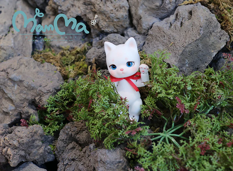 Basic Tomy | Preorder | DOLL - Image 7