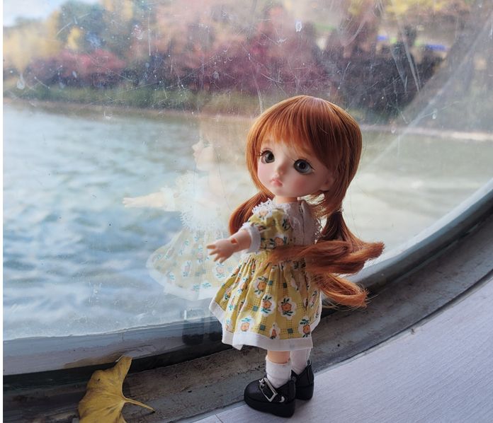 Basic ver. Mary | Preorder | DOLL - Image 8