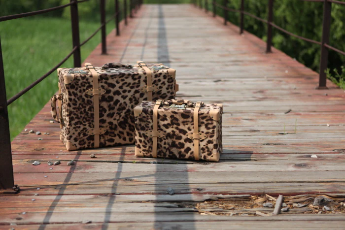 CARRIER CLASSIC BAG USD (African Beige) 14inch | Preorder | TOOL - Image 5