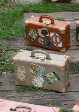 CARRIER VINTAGE BAG USD (Beige) 14inch | Preorder | TOOL