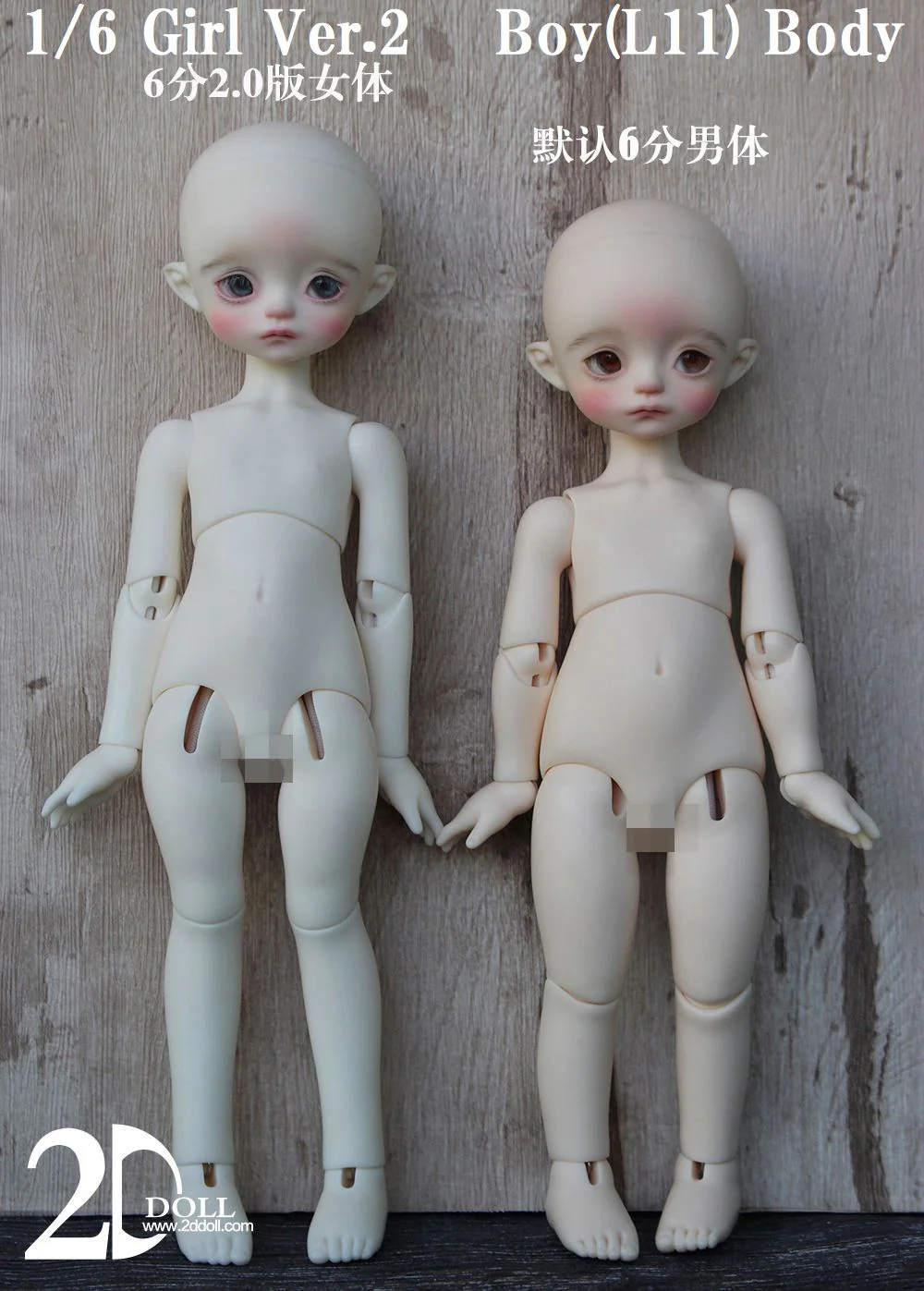 Dream | Preorder | DOLL - Image 10