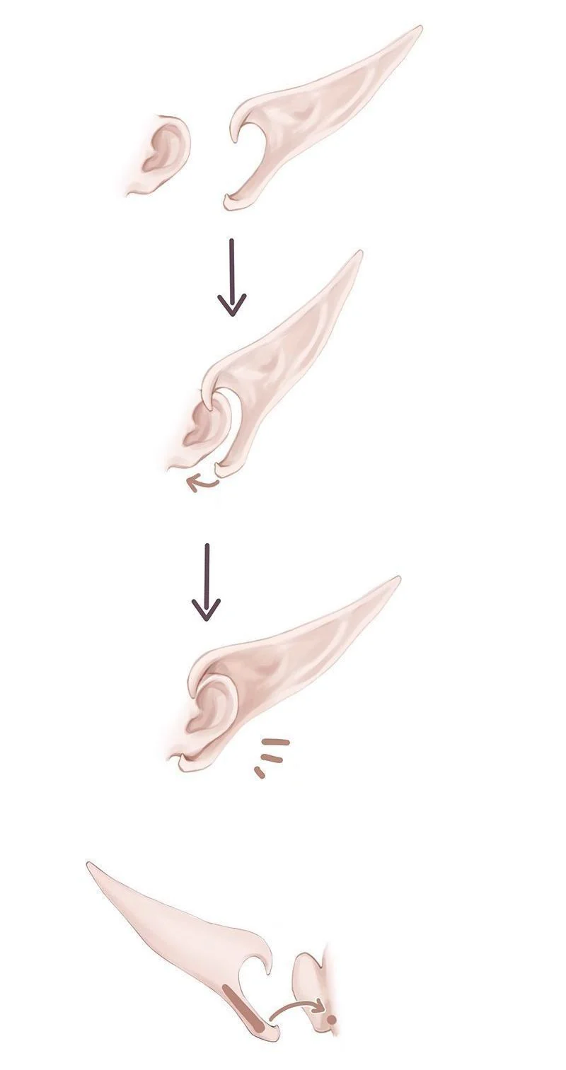 Elf Ear Parts (BH425011E) | PREORDER | PARTS - Image 3