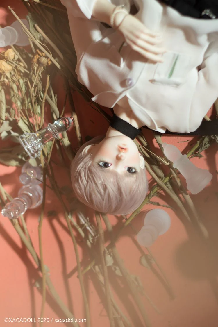 Macula COSMOS | Preorder | DOLL - Image 2