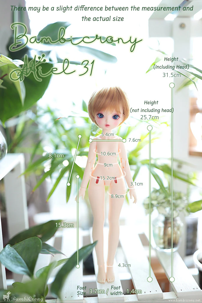 [Miel31] Body | Preorder | DOLL - Image 8