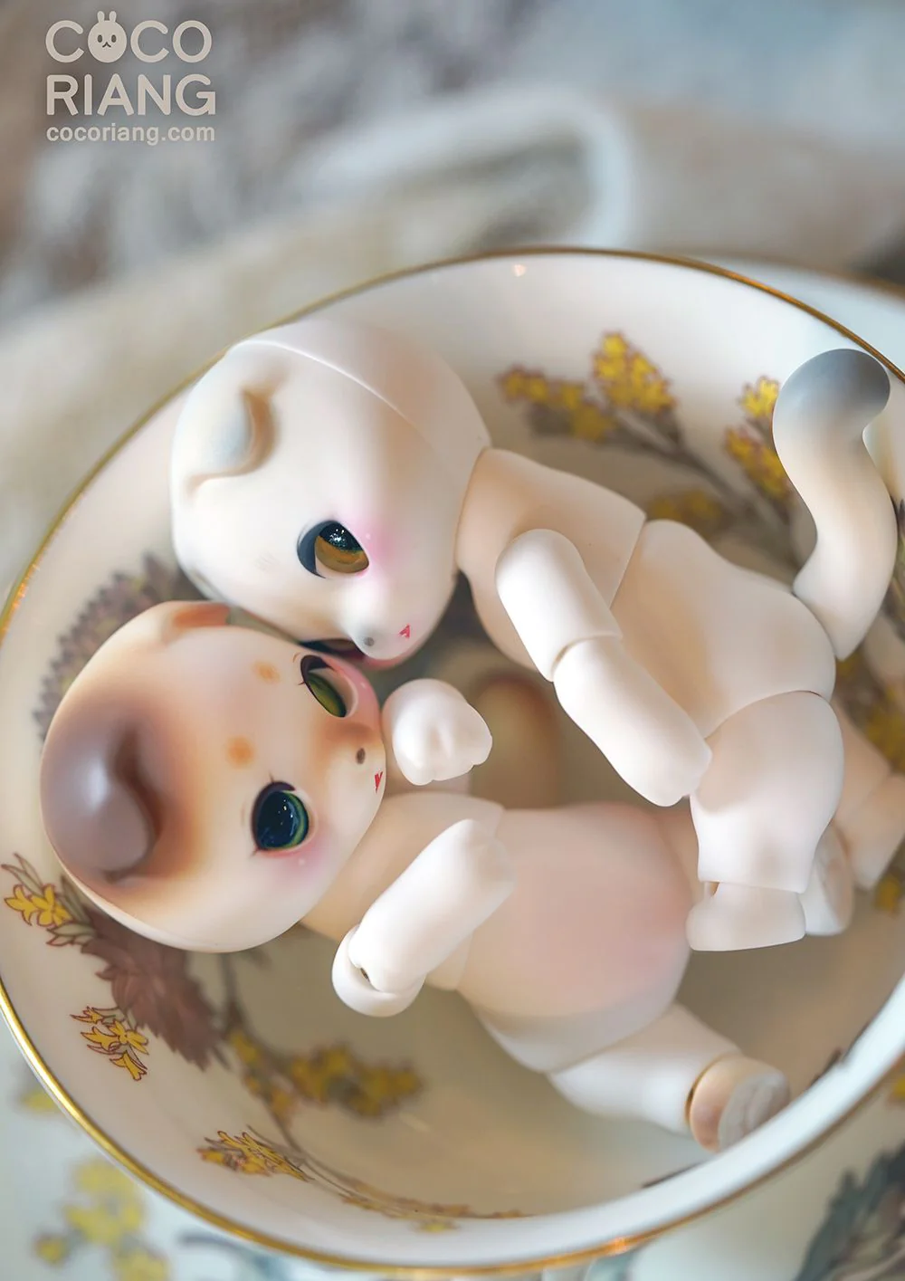 Moco [Cream White] | Preorder | DOLL - Image 14
