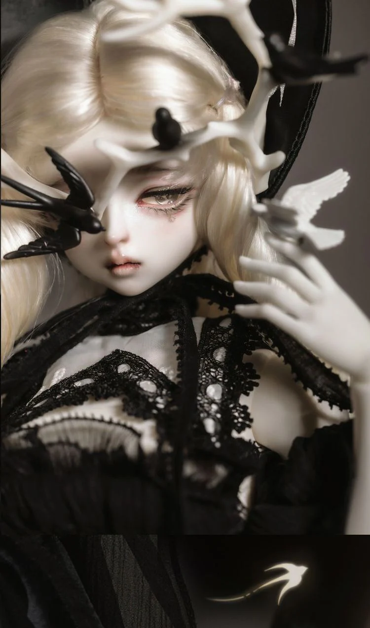 Nocturne Fullset (Face Up) [Limited Quantity & Time Discount] | PREORDER | DOLL - Image 2