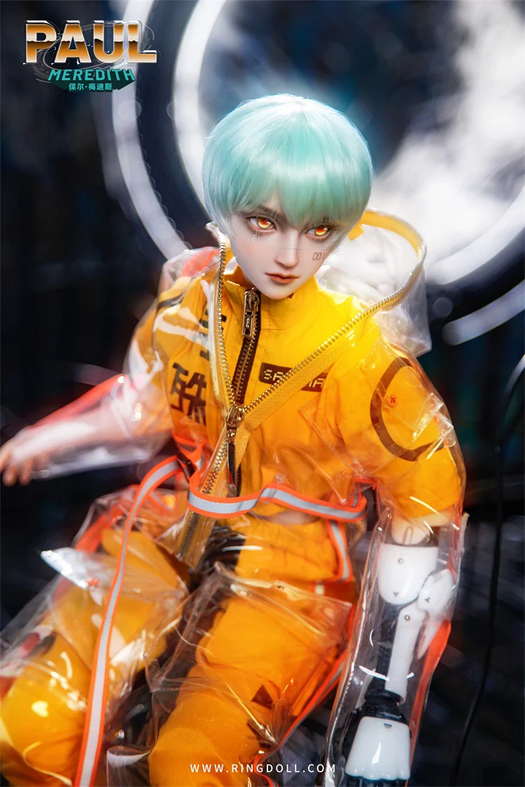 Paul Meredith | Preorder | DOLL - Image 2