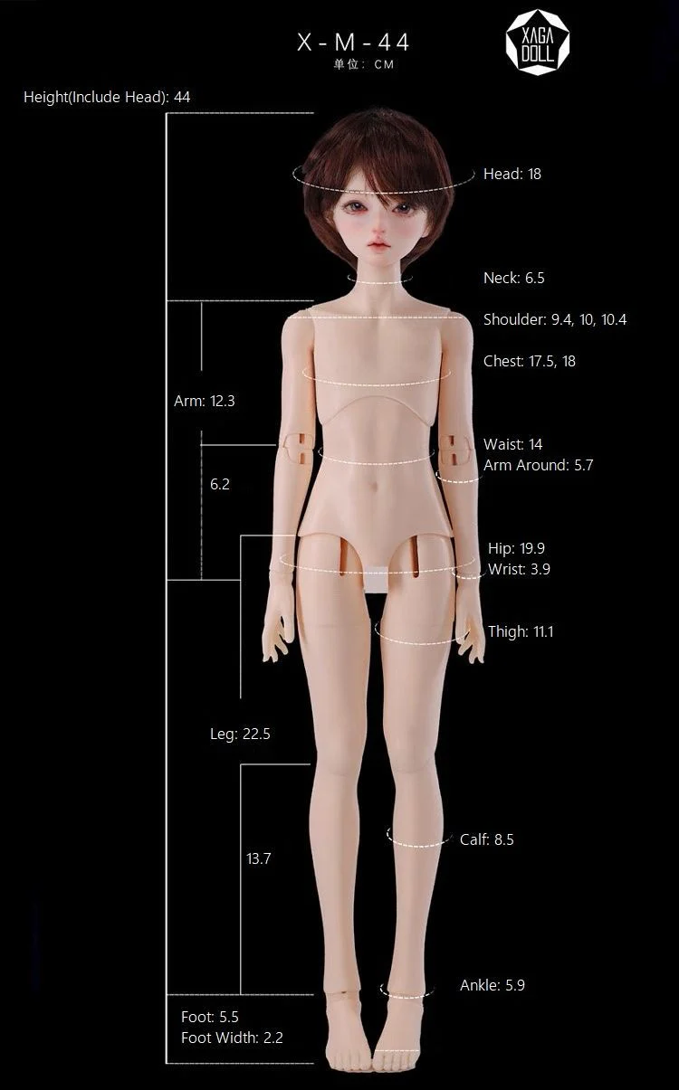 Ravi | DOLL - Image 24