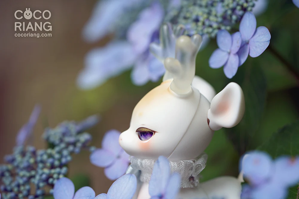 Shifty | Preorder | DOLL - Image 3