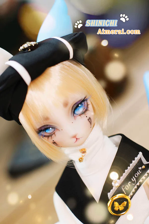 Shinichi - Mao Series Fullset | Preorder | DOLL - Image 2